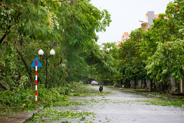   Thành phố Hưng Yên xơ xác sau bão số 1